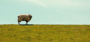 La España ‘new rural’: los pueblos ganan 57.000 habitantes en el año de la pandemia